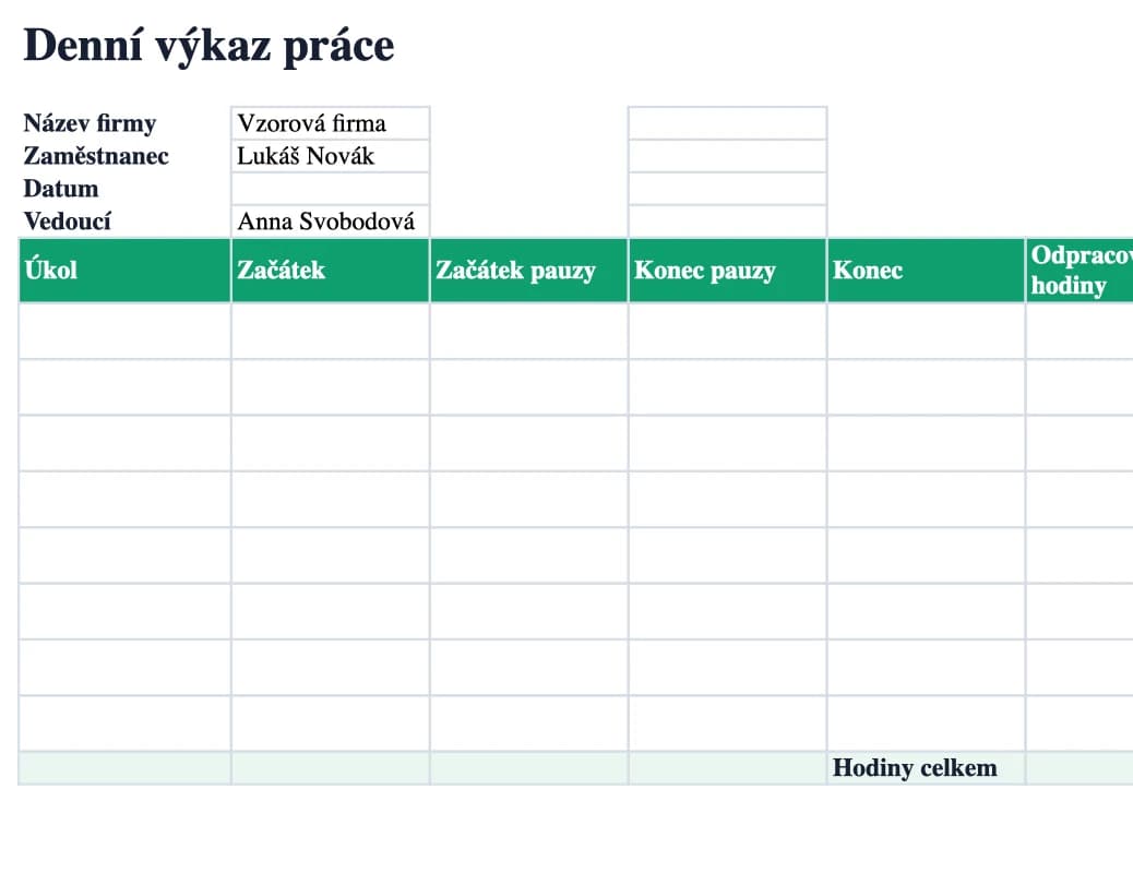 Náhled Excelu: Denní výkaz práce
