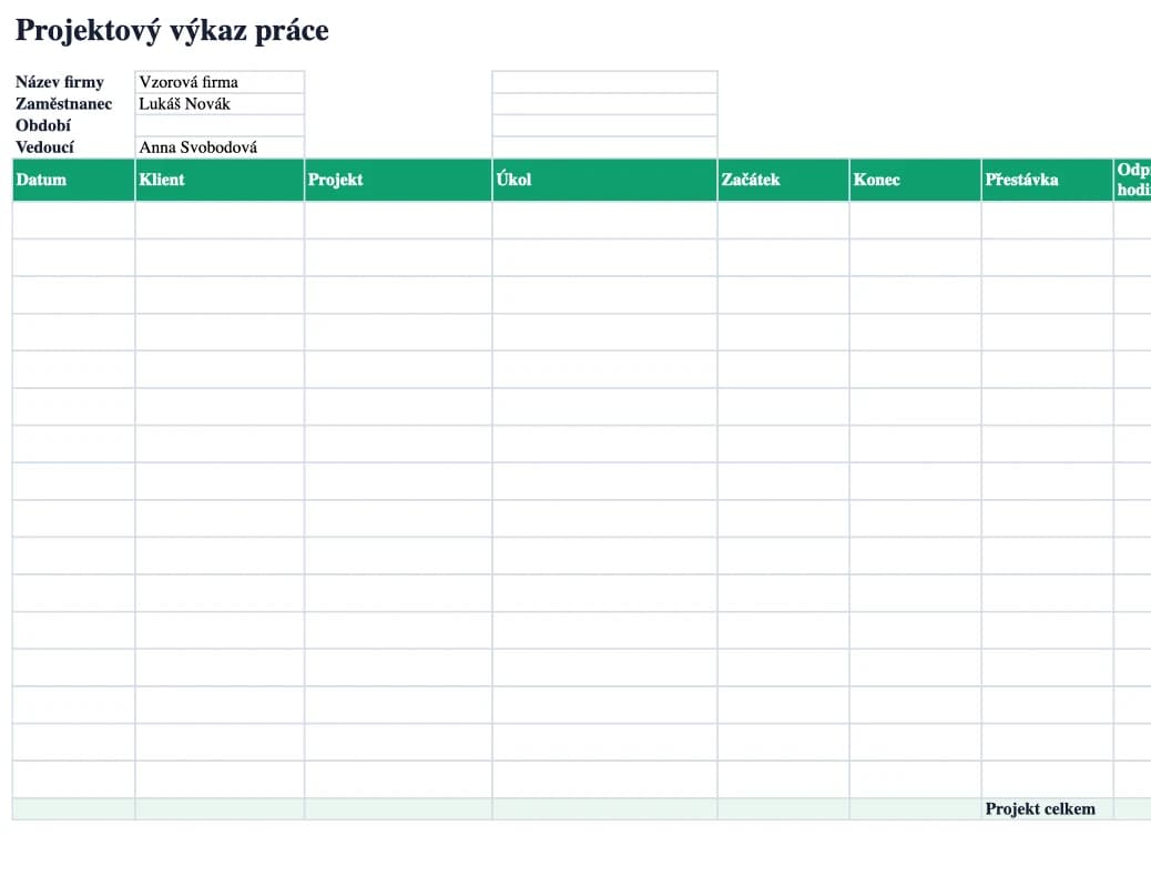Náhled Excelu: Projektový výkaz práce