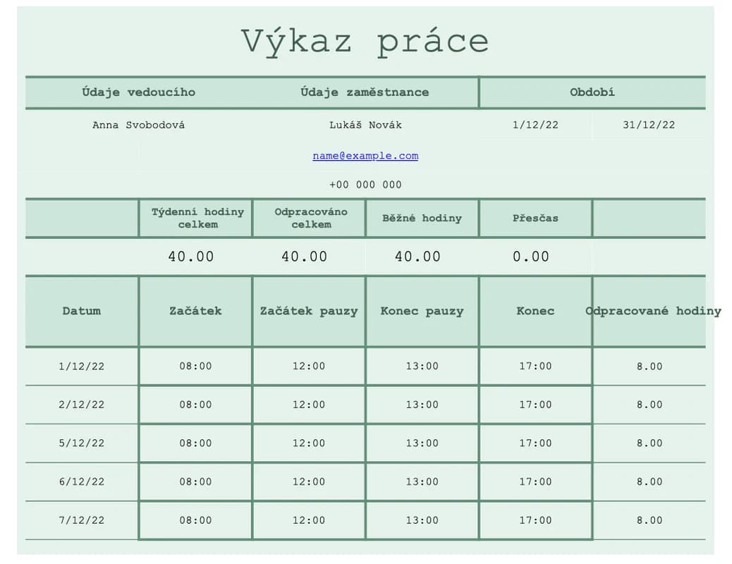 Náhled podrobné excelové šablony výkazu práce podle projektu